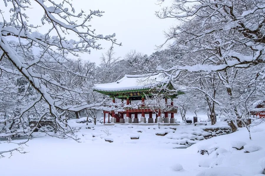 Winter Programme in Chung-Ang University South Korea